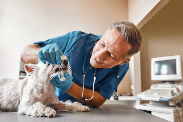 Best Dental Abscess Treatment in Milltown, NJ